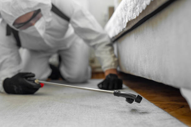 Professional Termite Control technician working in Neoga, IL