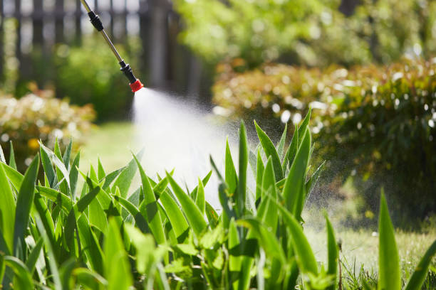 24/7 Emergency Termite Control experts in Neoga, IL